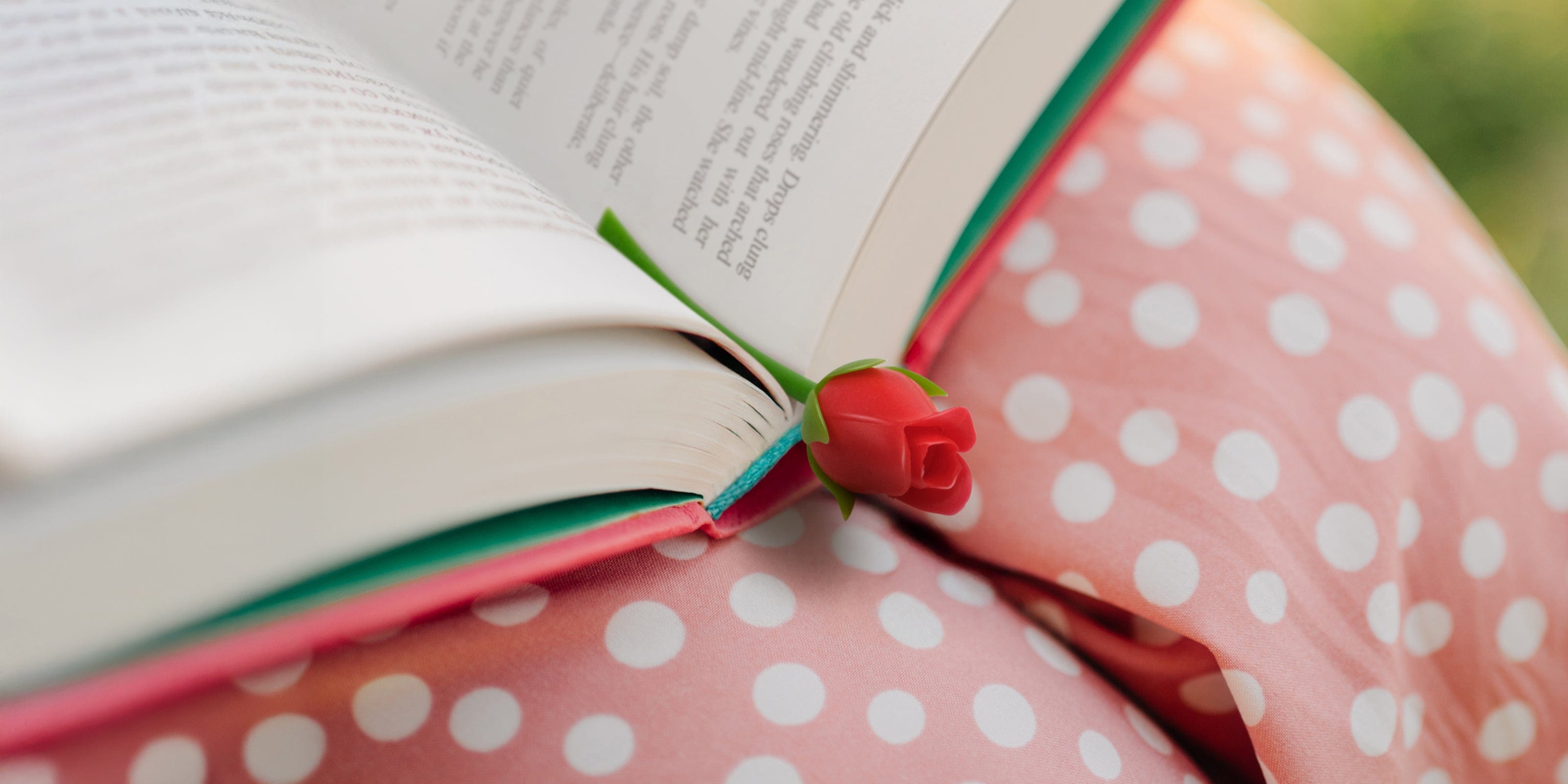 Gifts for Book Lovers