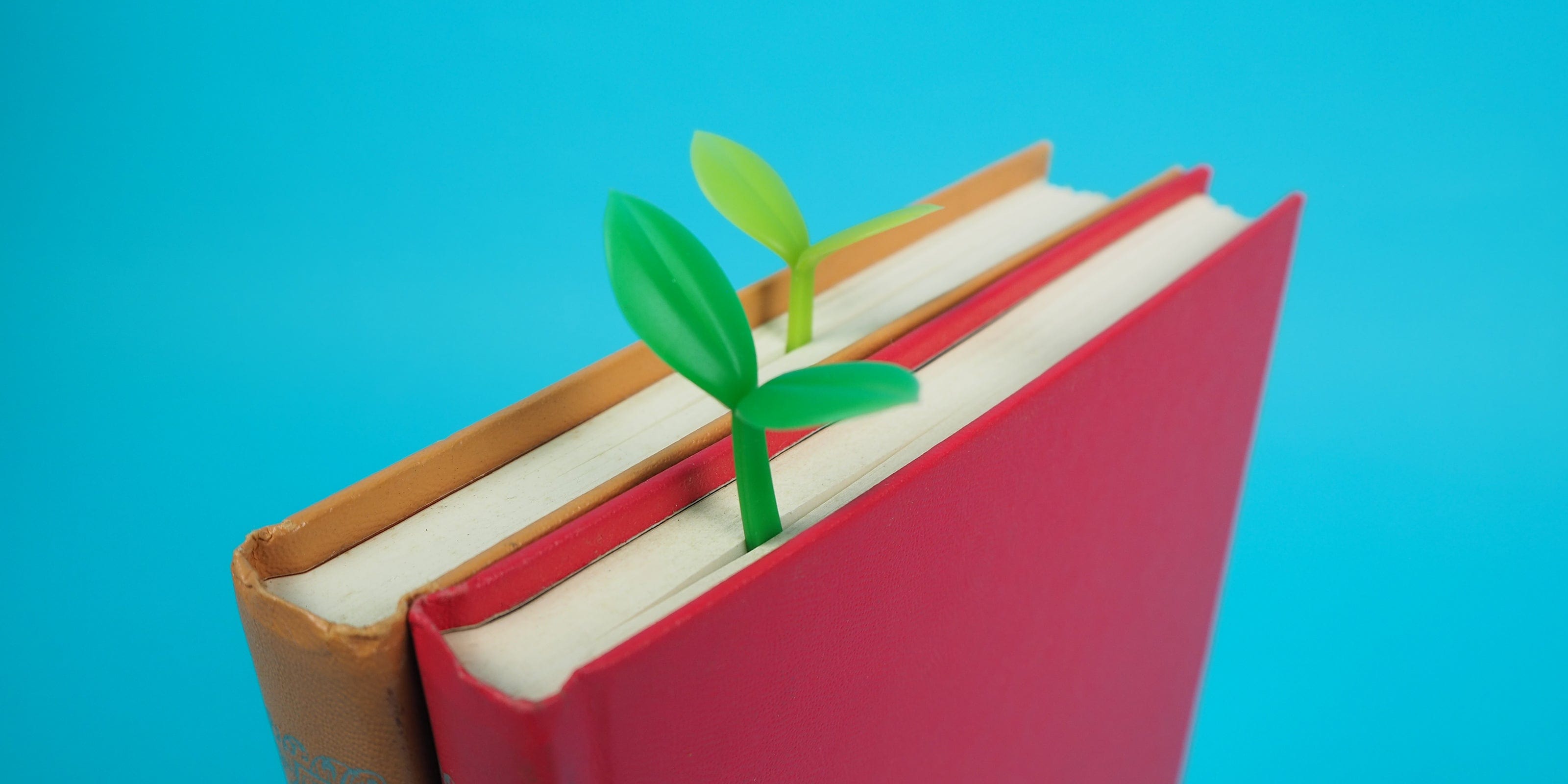 Gifts for Plant People