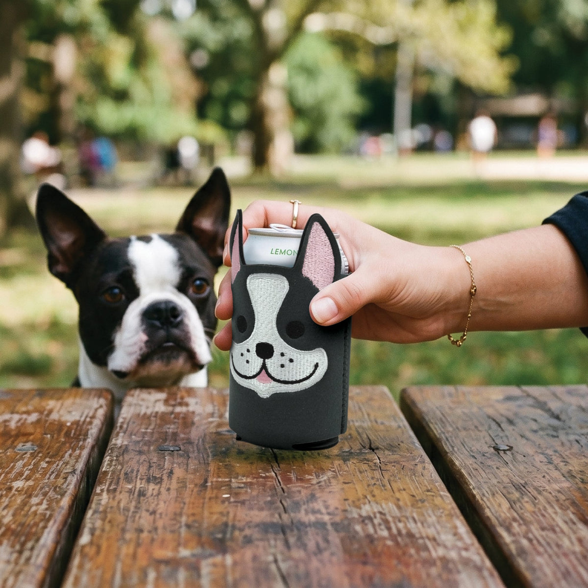BEV BUDDY Boston Terrier