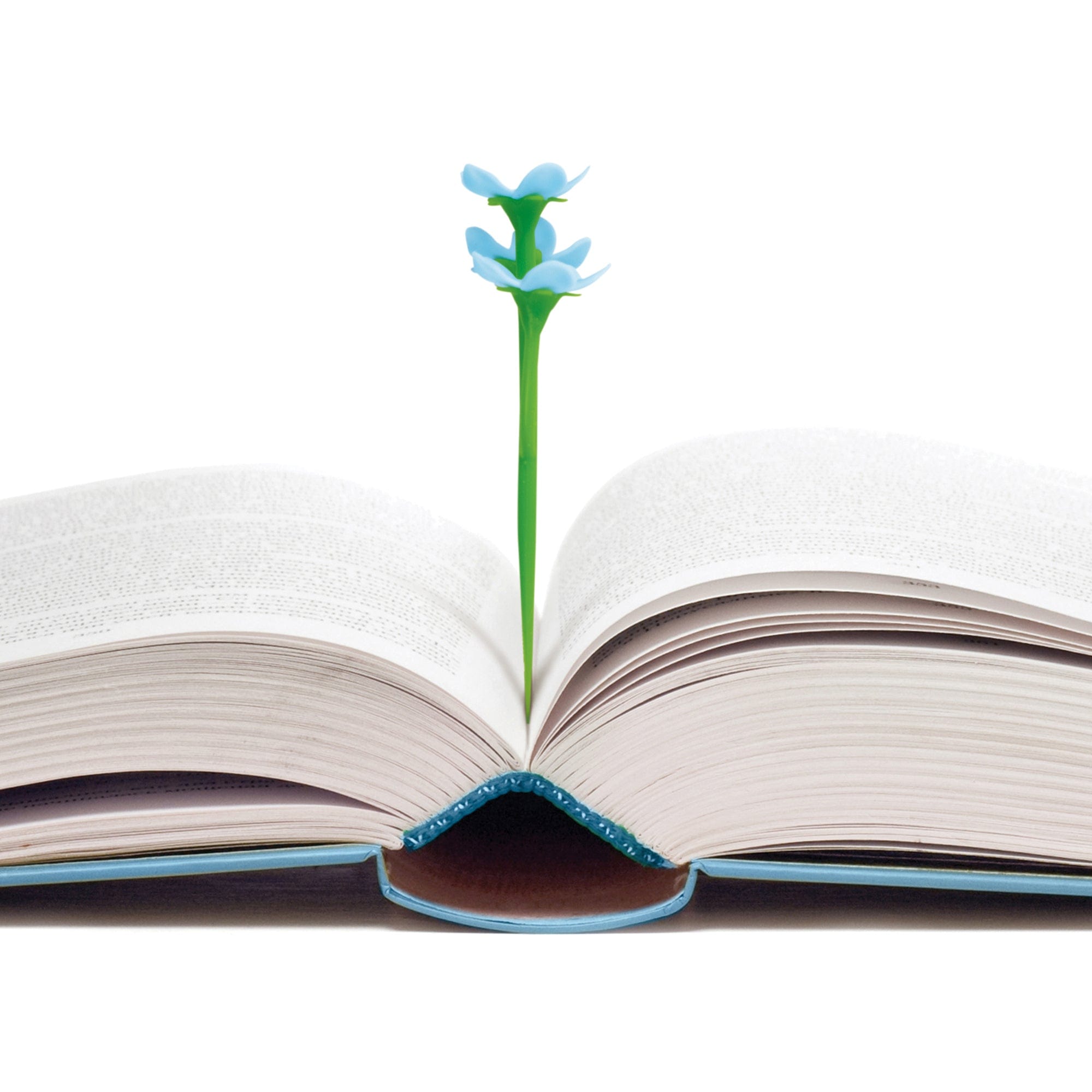 Open book with a 3D blue flower bookmark on a white background