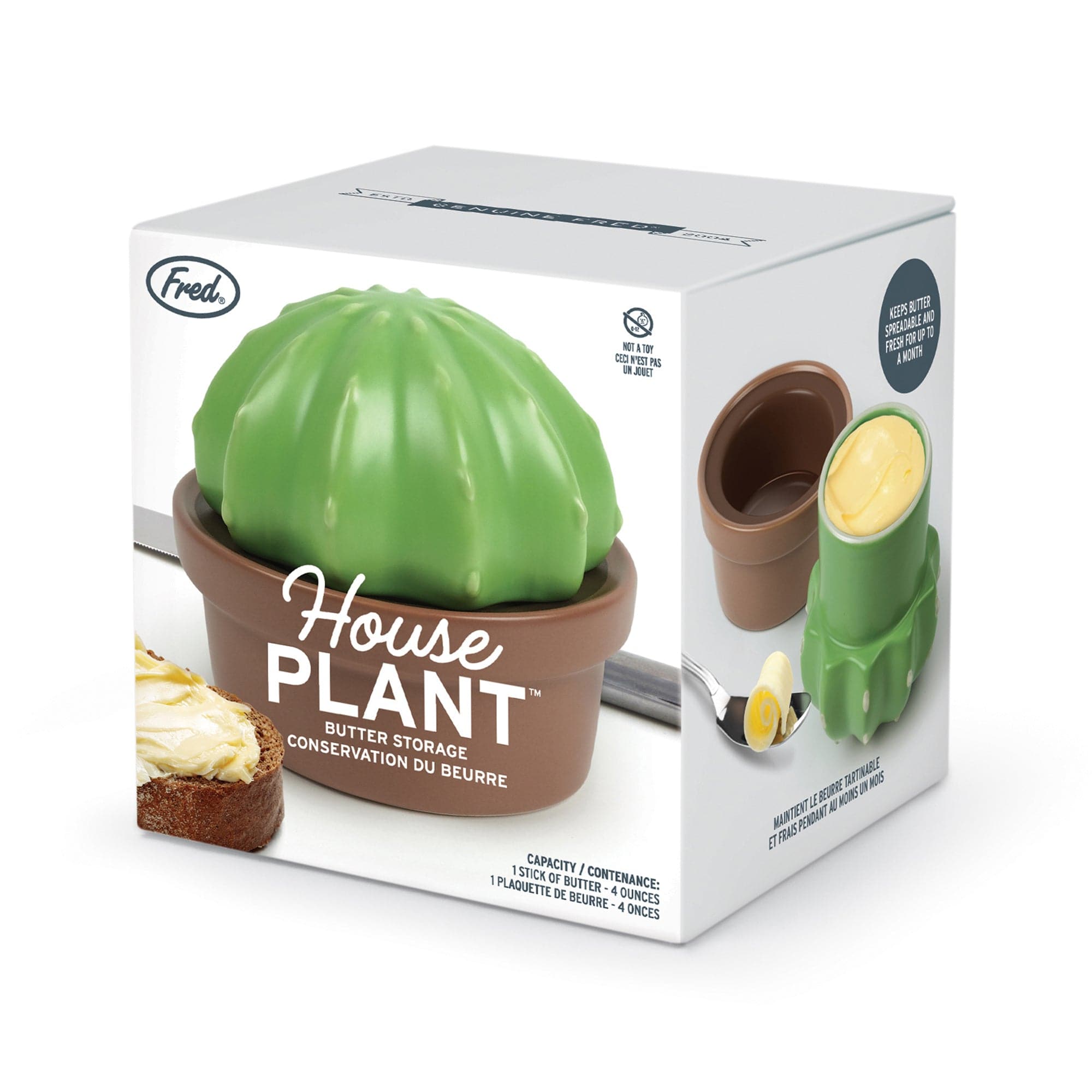 HOUSE PLANT