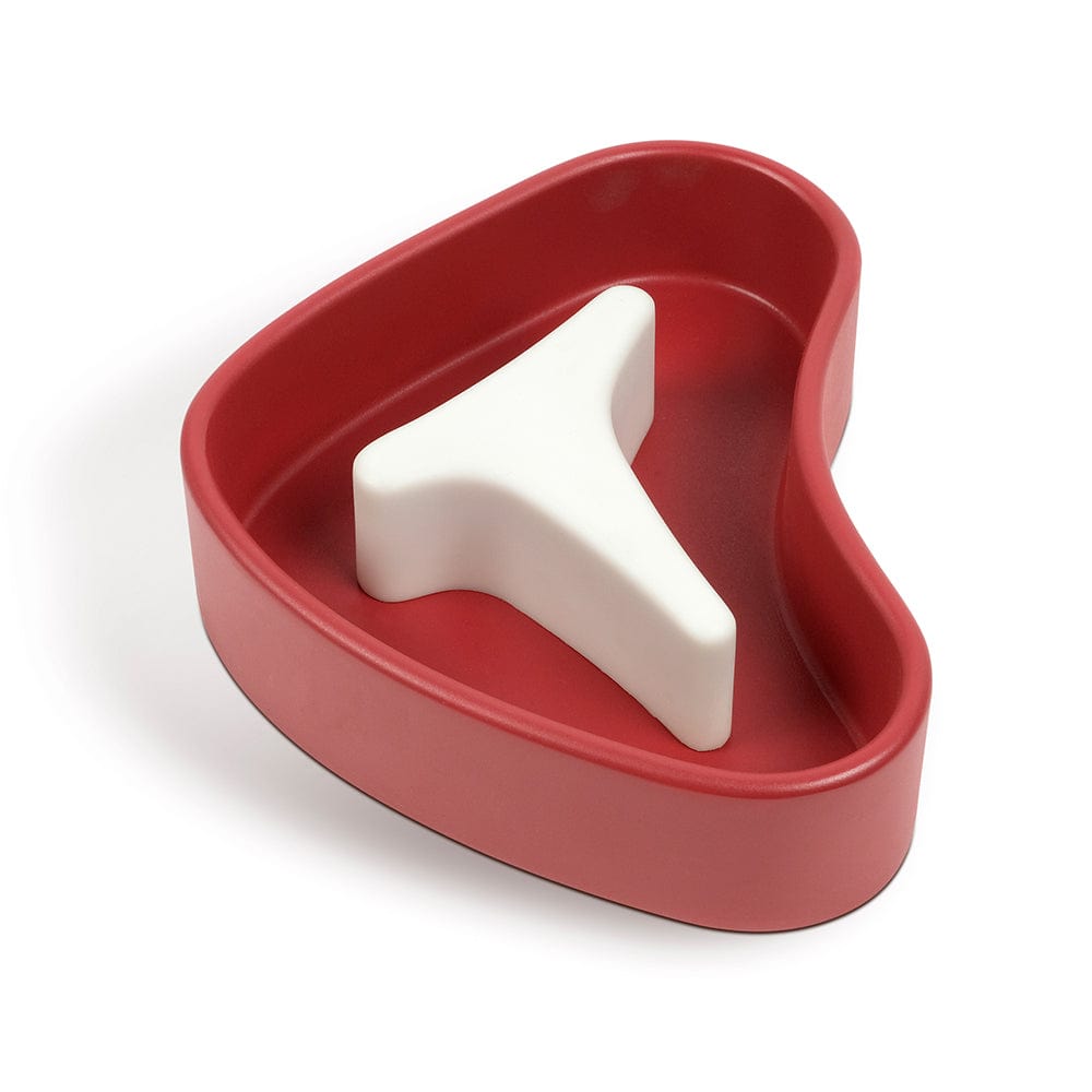 A dog bowl that looks like a T-bone steak