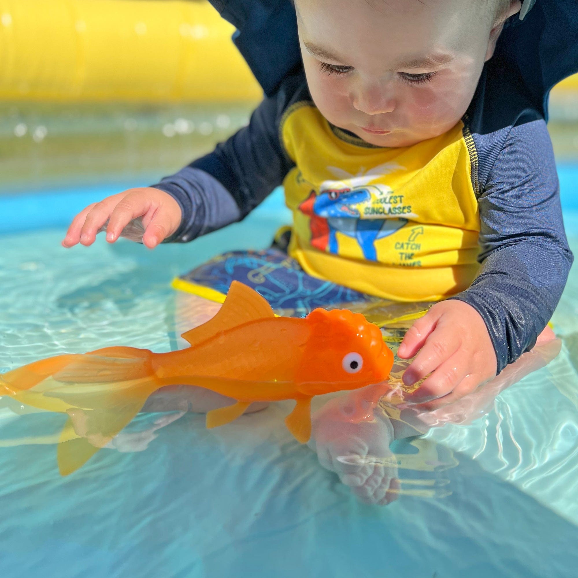 KOI TOY