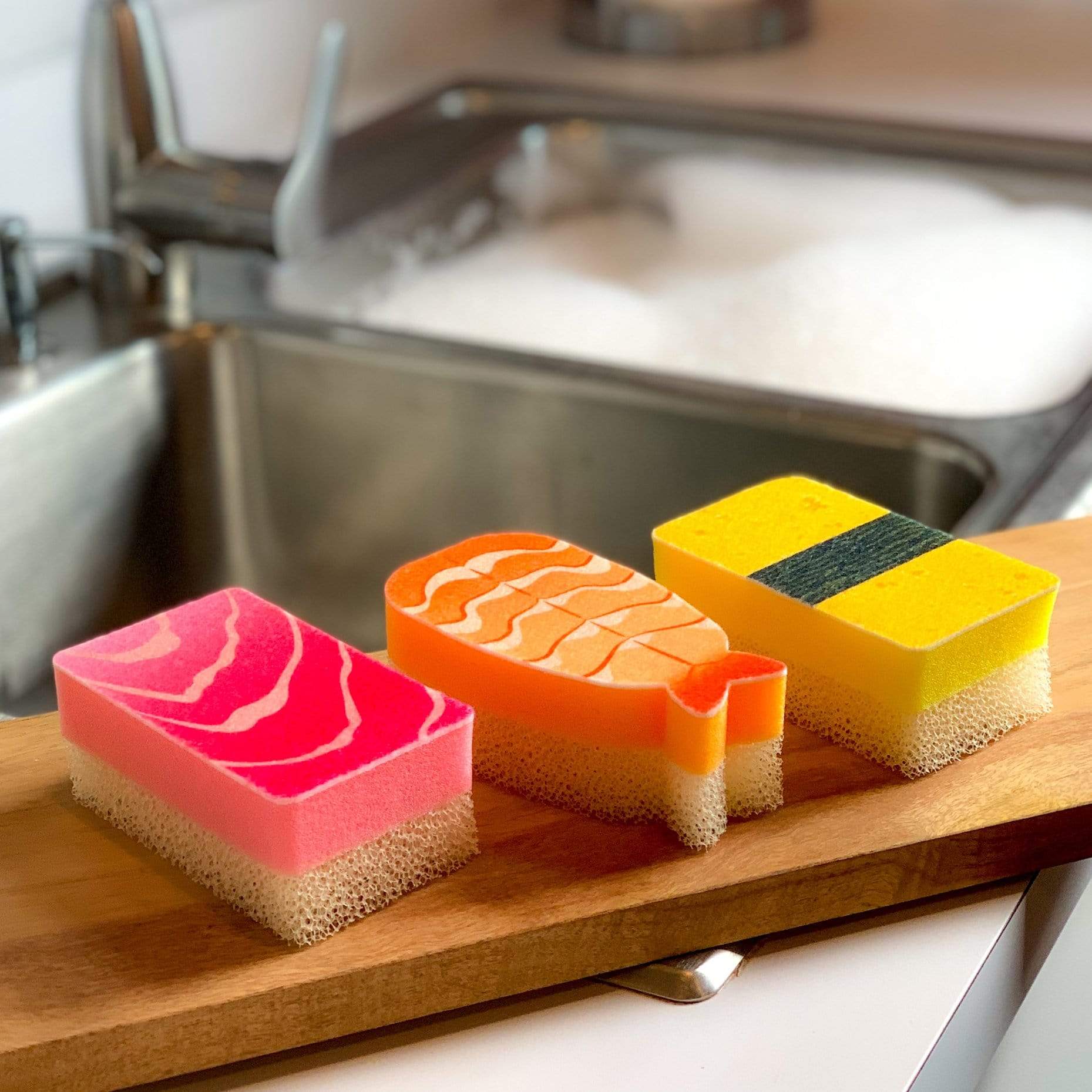 WASHABI SUSHI SPONGES