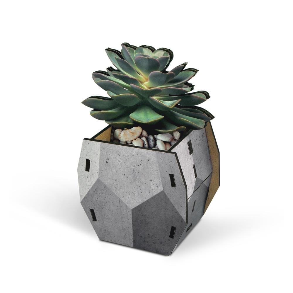 geometric succulent pot Pop Plants