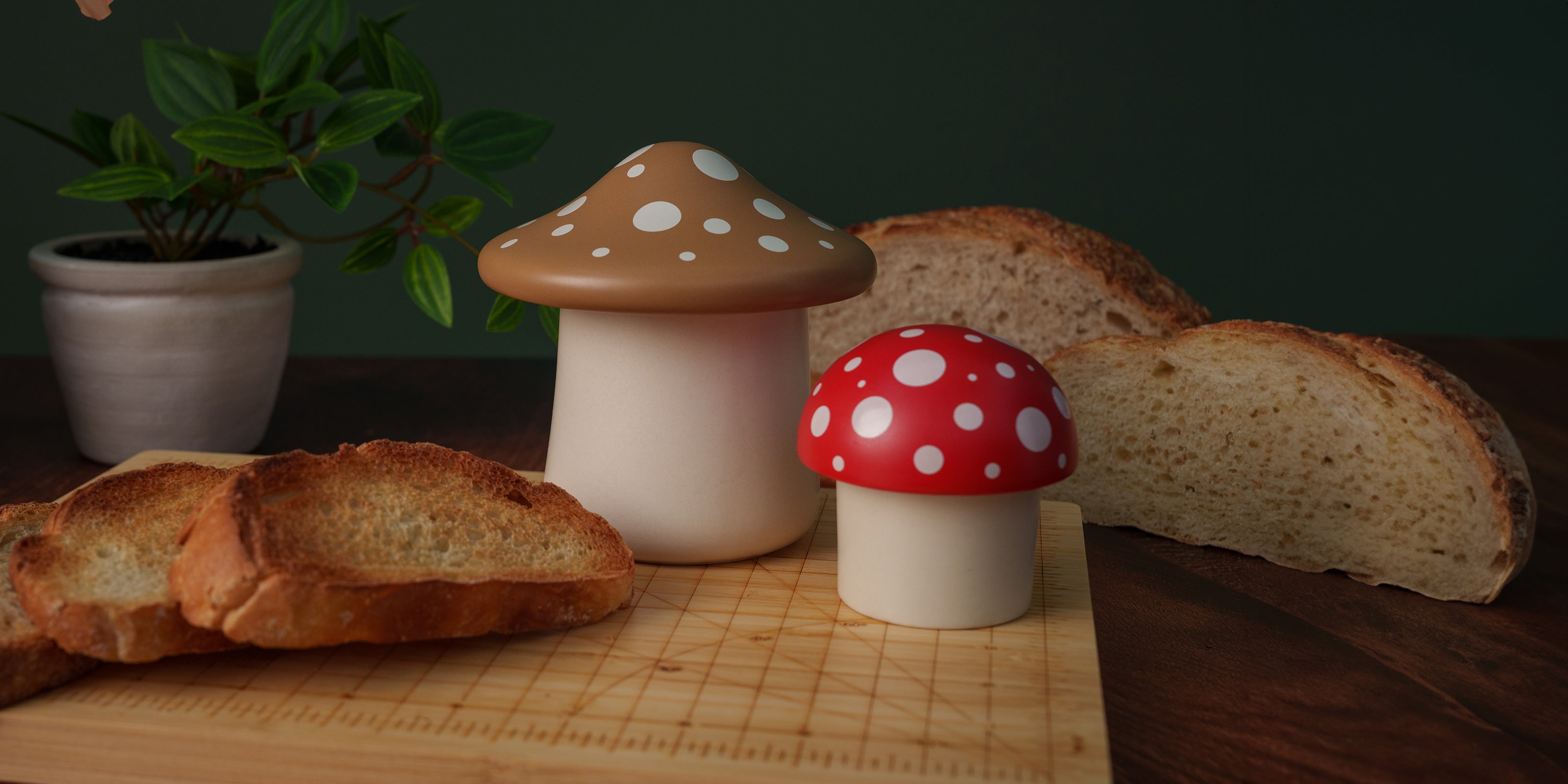 Mushroom Stuff