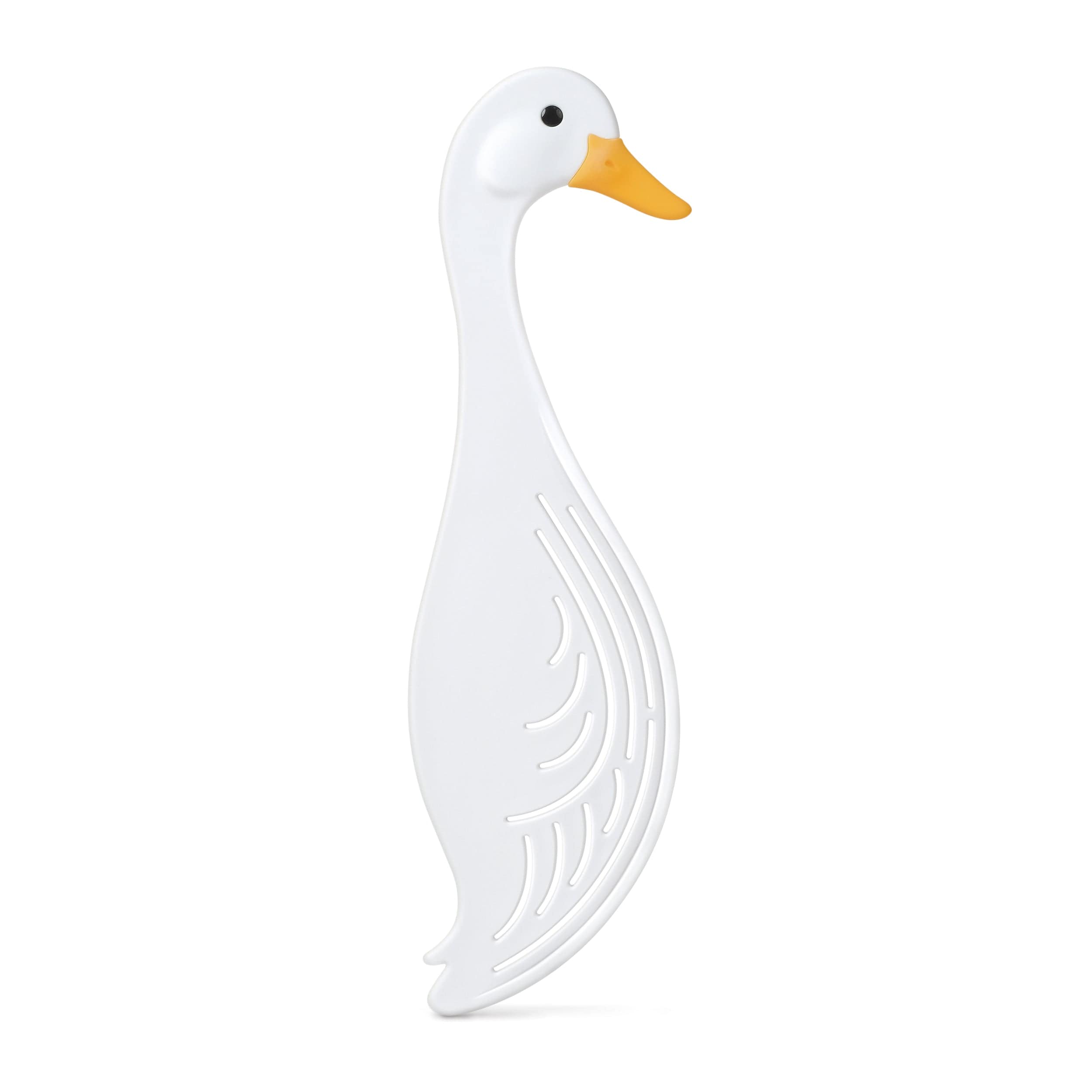 WATERFOWL