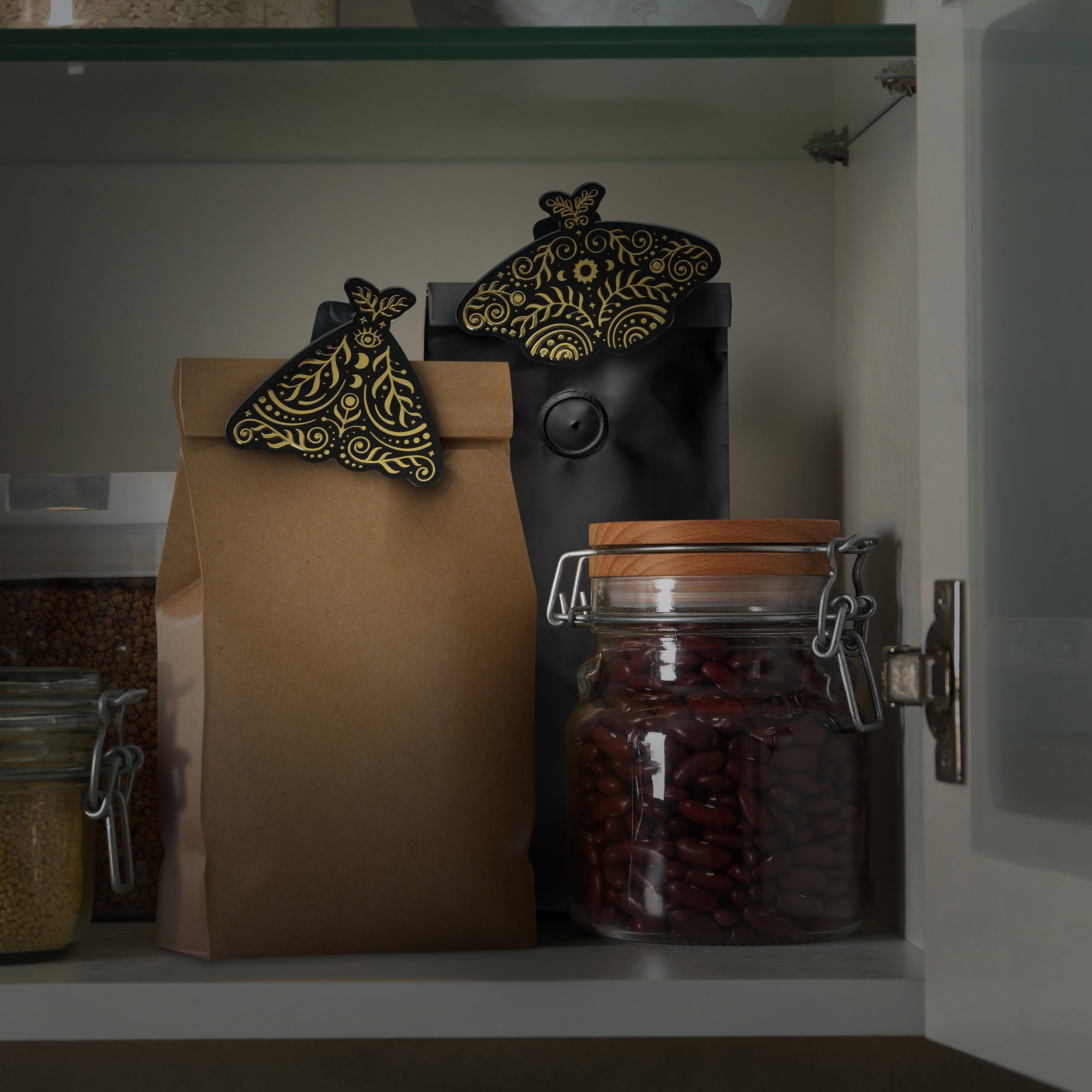 PANTRY MOTHS