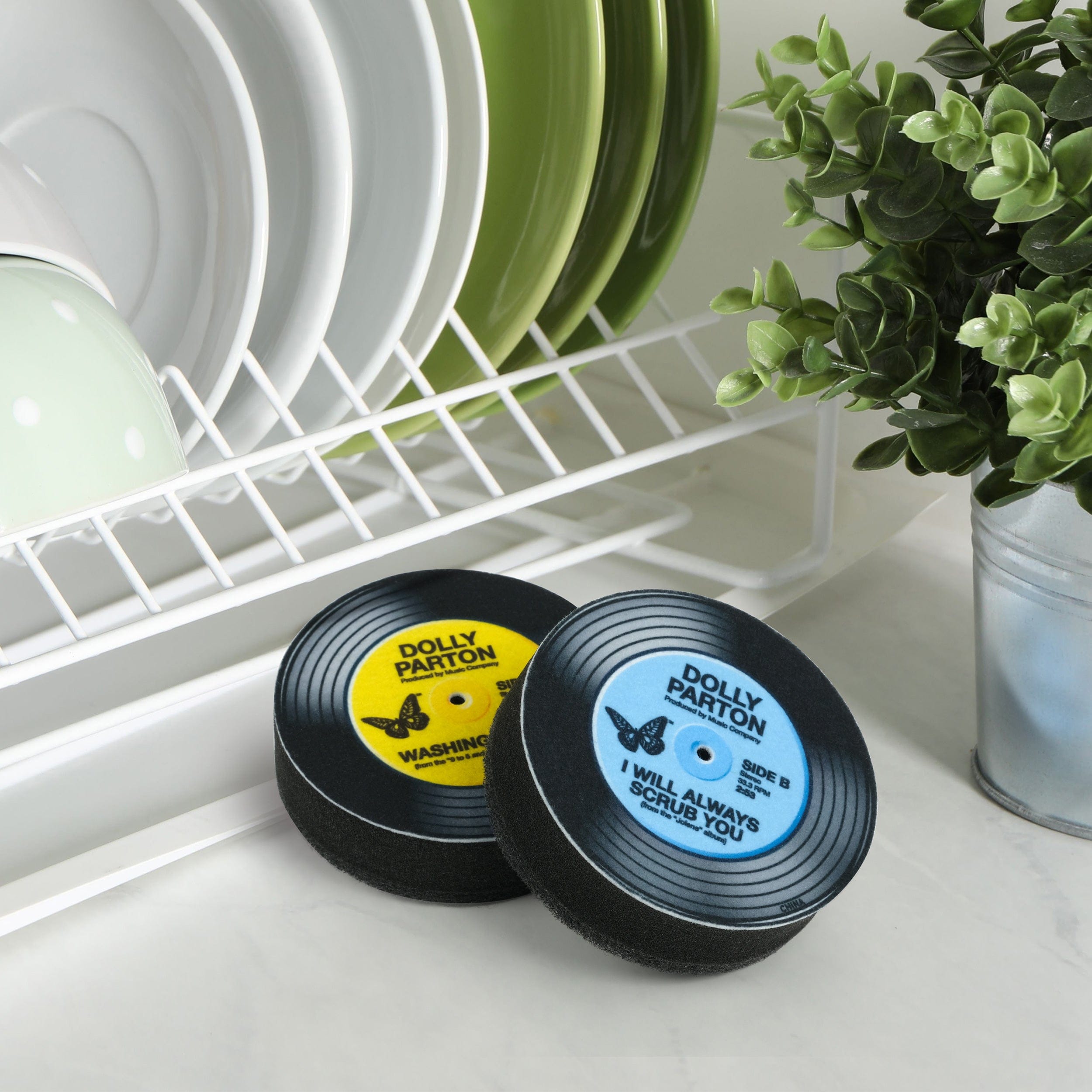 DOLLY RECORD SPONGES