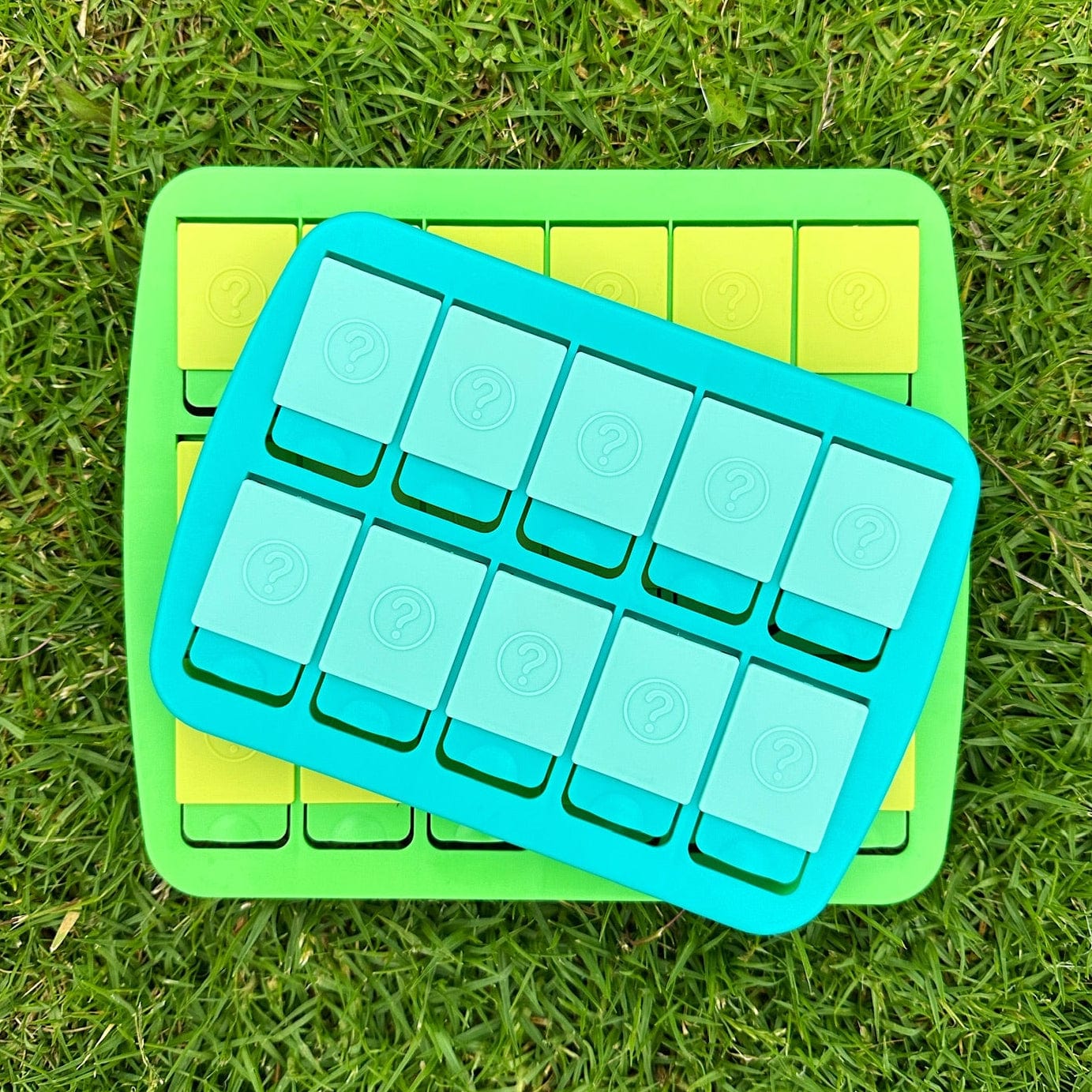 Two green and blue kids snack trays  on grass