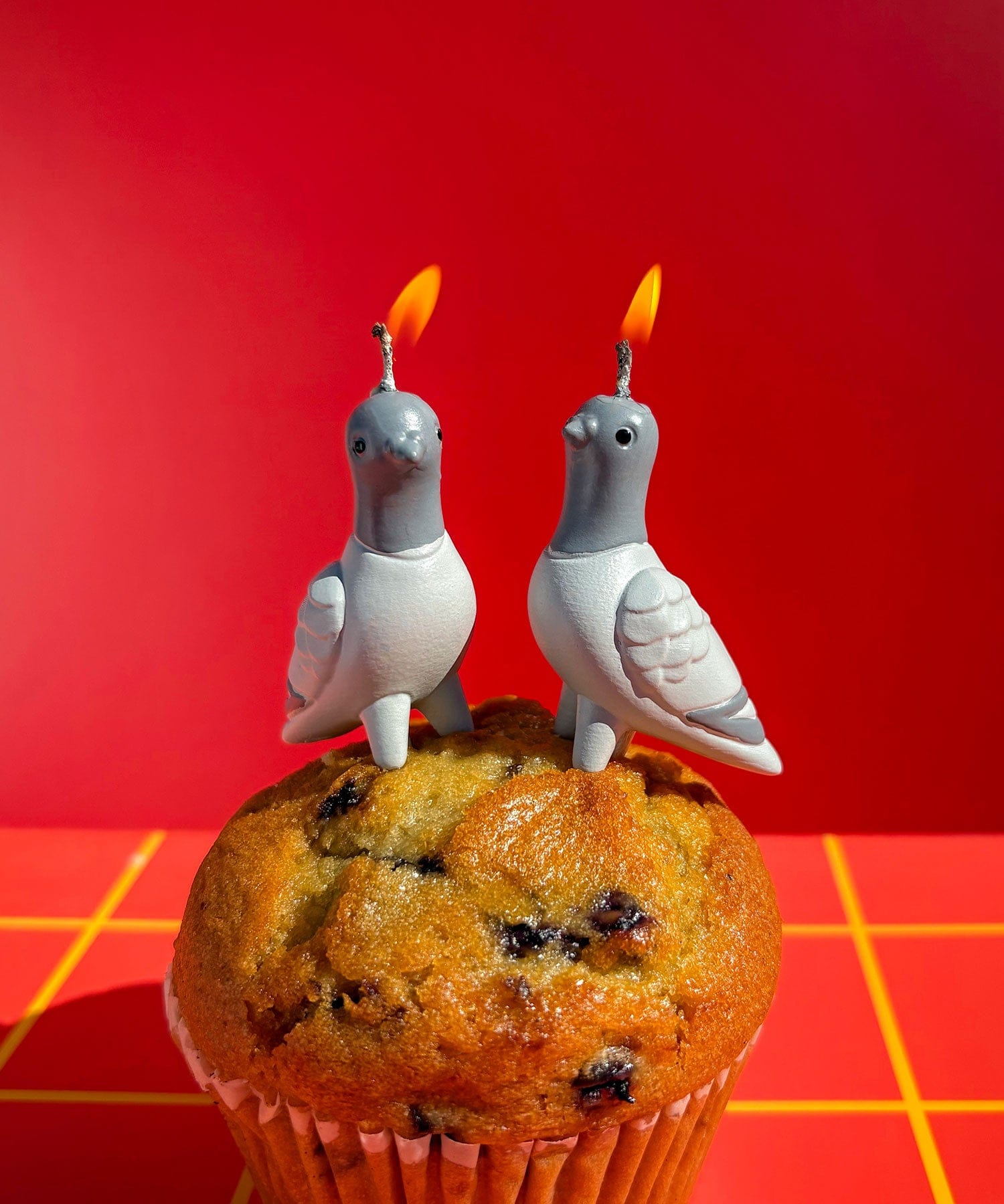 PIGEON STUFF! Fun & Functional Pigeon & Bird Lover Gifts