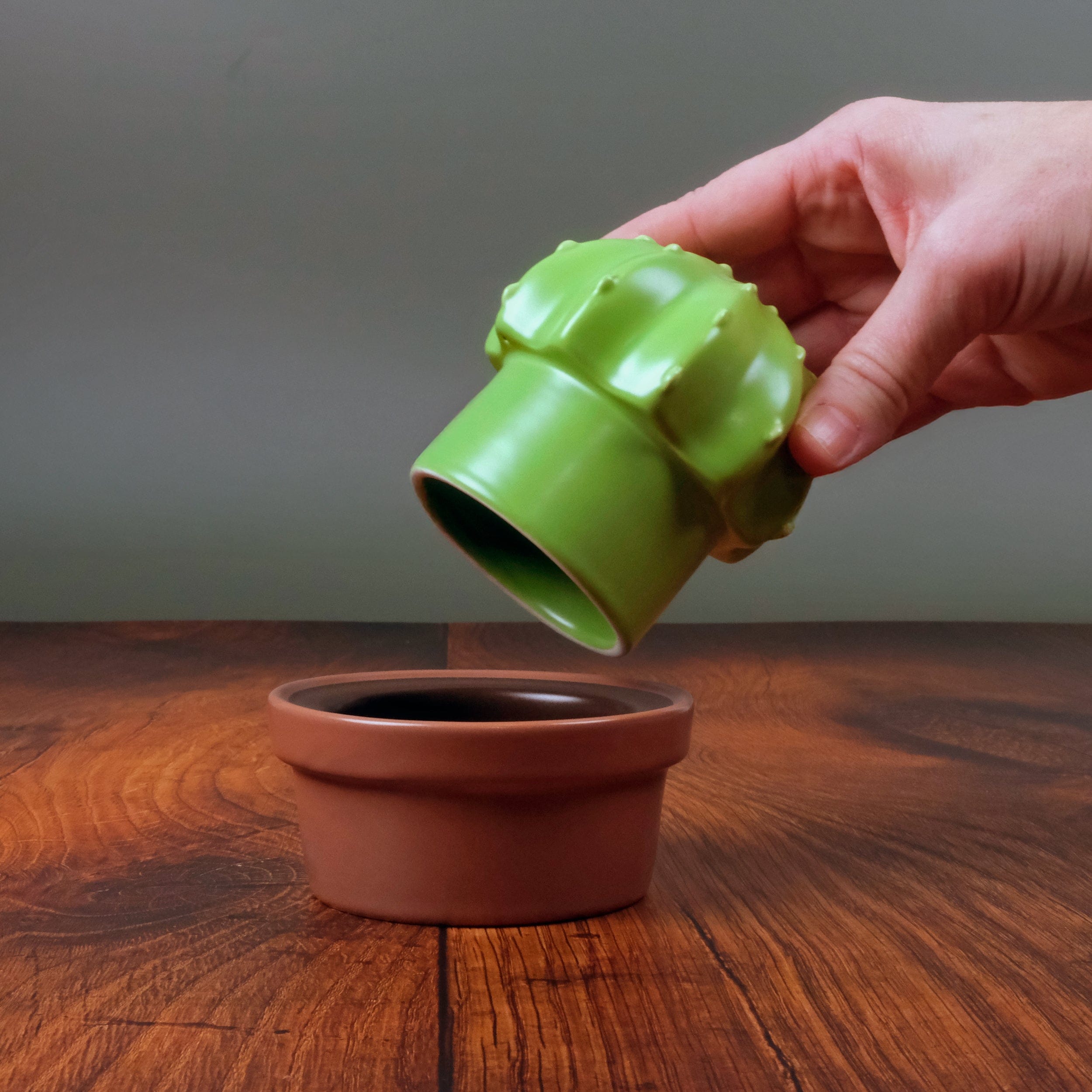 plant dish pot HOUSE PLANT