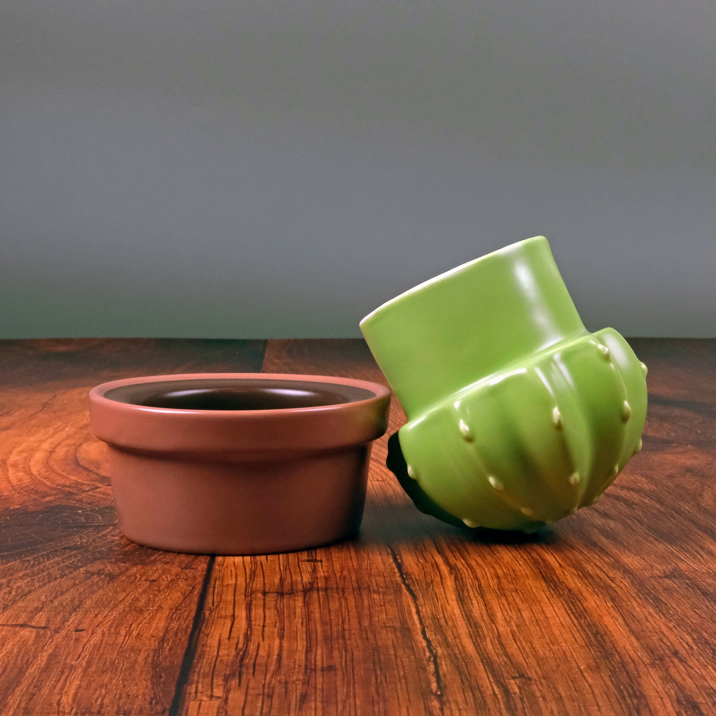 house plant ceramic pots HOUSE PLANT