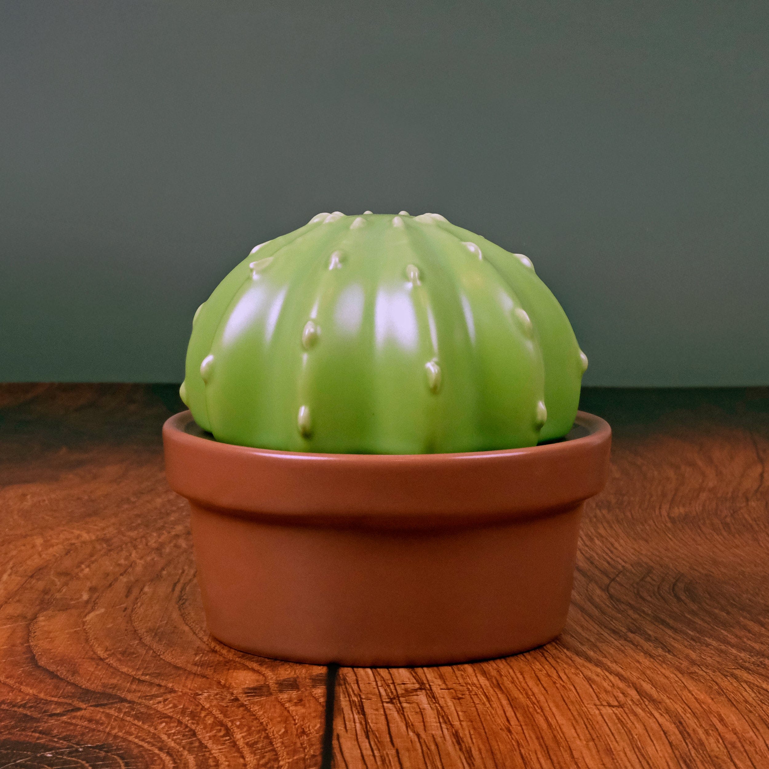 ceramic cactus flower pot HOUSE PLANT