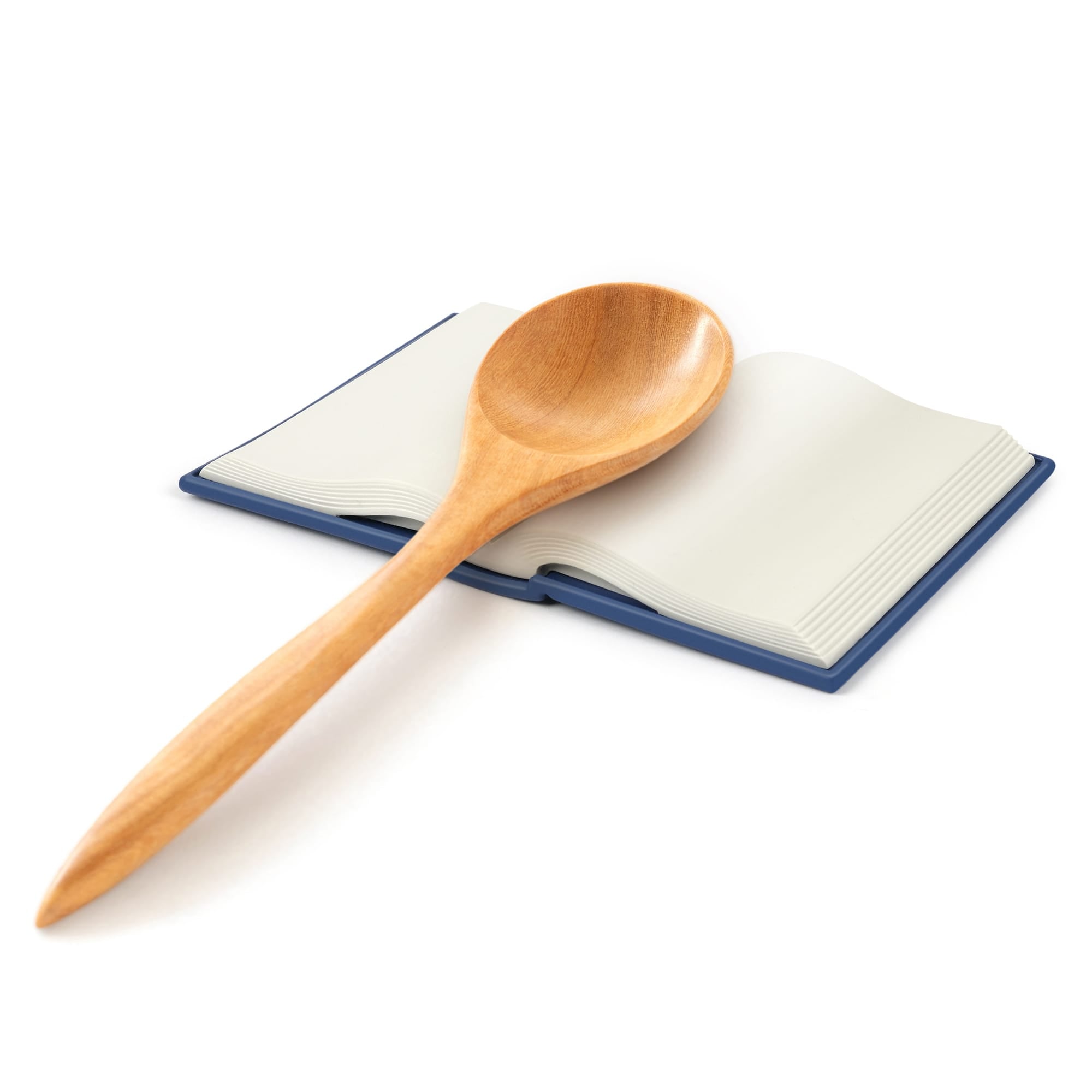 COOK'S BOOK