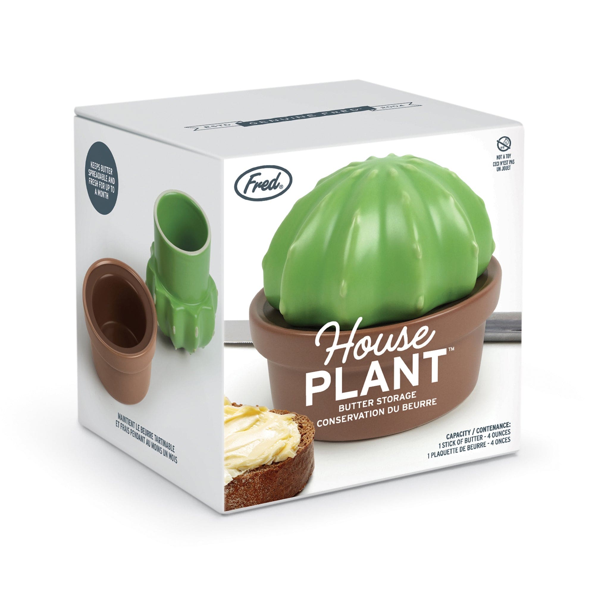 monthly house plant box HOUSE PLANT