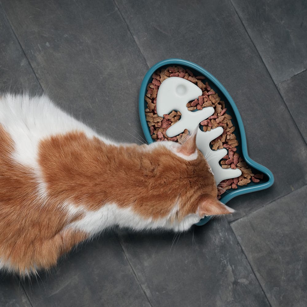 SLOW FOOD - CAT