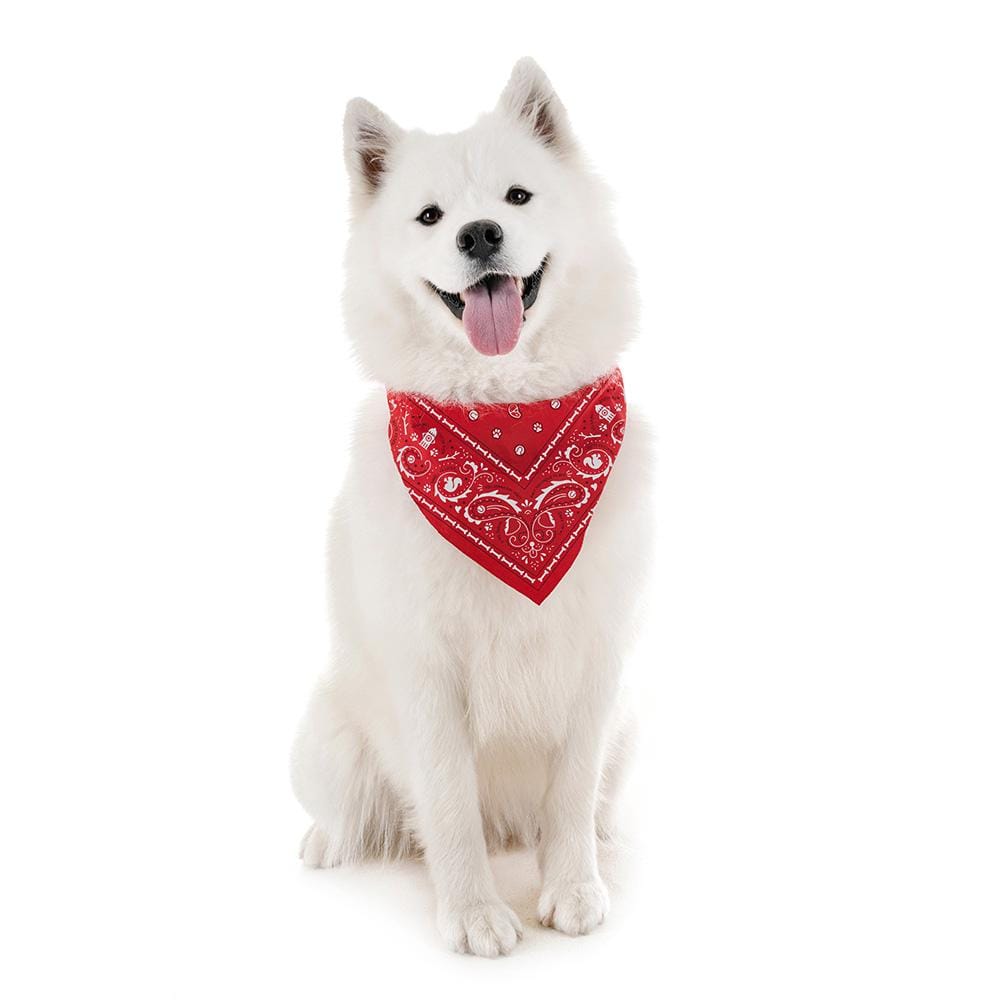 Size::Large | REFLECTIVE DOG BANDANAS