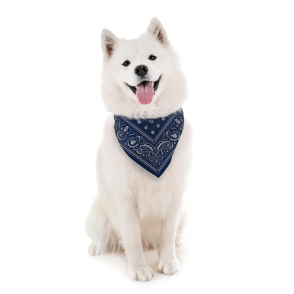 Size::Large | REFLECTIVE DOG BANDANAS