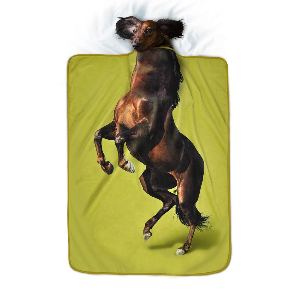 EXOTIC PETS - Horse