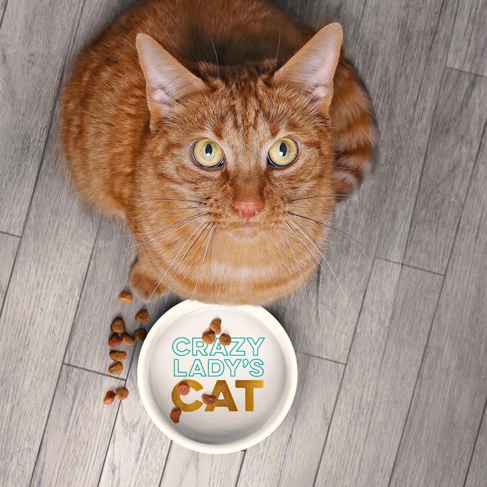 CERAMIC MUG + CAT BOWL SET